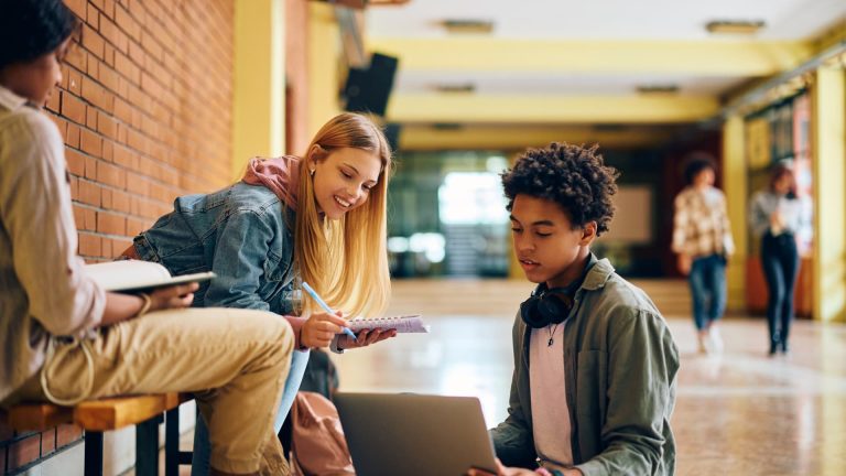 Journal Prompt Ideas to Teach Executive Function Skills: Organization