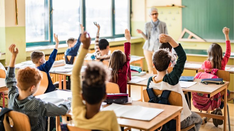 Understanding Emotion Regulation and Executive Function in Young Students