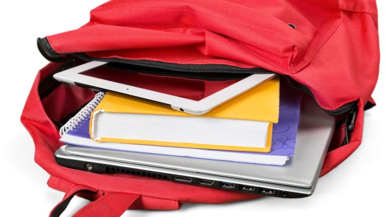 Developing Organization: A Strategy-Focused Approach for High School Students